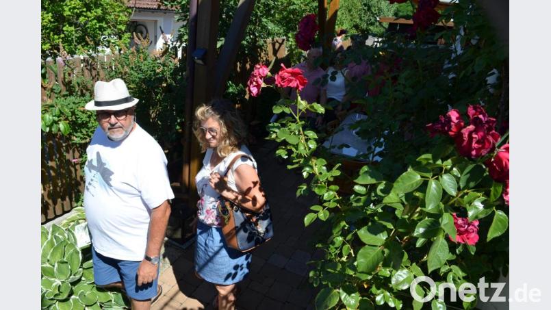 Blütenpracht als Wegbegleiter. Bild: fz