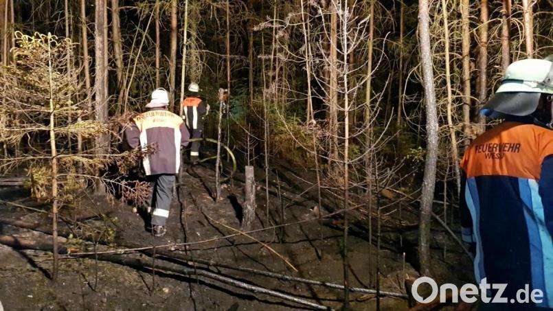 Die Löschkräfte mussten sich durch zum Teil unwegsames Gelände kämpfen um an den Brandort zu gelangen. Bild: exb – Feuerwehr Wiesau