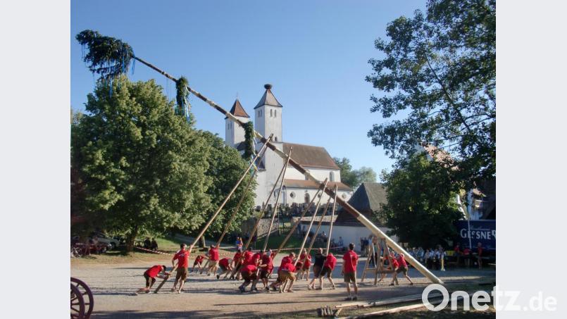 Vor der Kulisse der Perschener Pfarrkirche hievten die Burschen den Kirwabaum in die Senkrechte. Bei der Hitze am Freitag stellte das keine leichte Aufgabe dar. Bild: aub