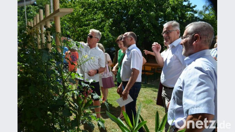 Die Verlängerungen der Tomatenspiralen von Alfons Stangl (rechts) waren bisher so nicht bekannt. "Ich habe das Patent", lacht Stangl. Bild: fz