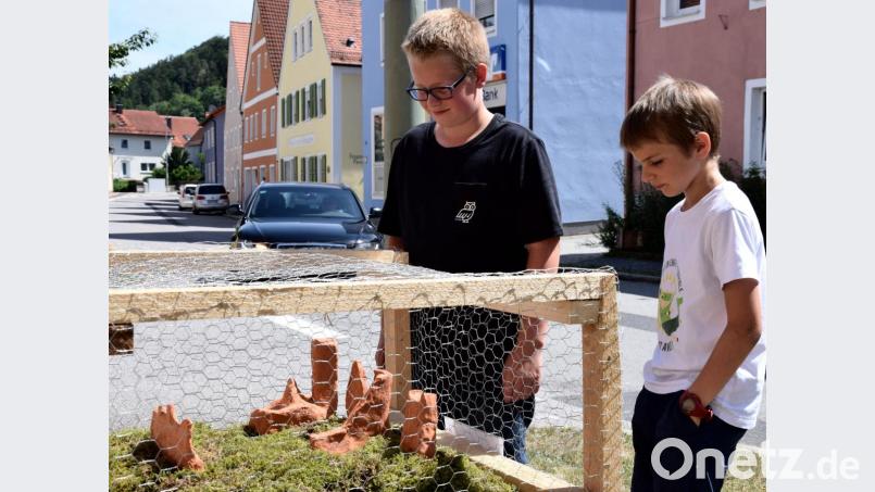 Für diese beiden Jungs ist die Heimat der Schlossberg mit der einstmals mächtigen Hohenburg. Bild: bö