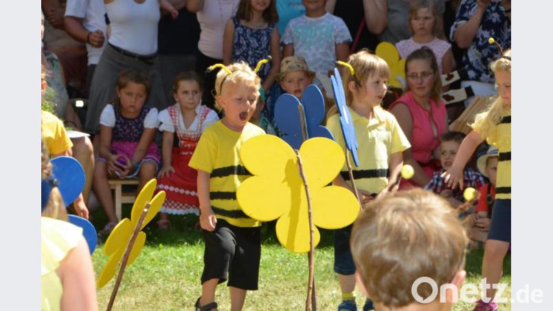 Zum Schluss schwärmte ein Bienenvolk aus und war lustig anzusehen. Bild: dob