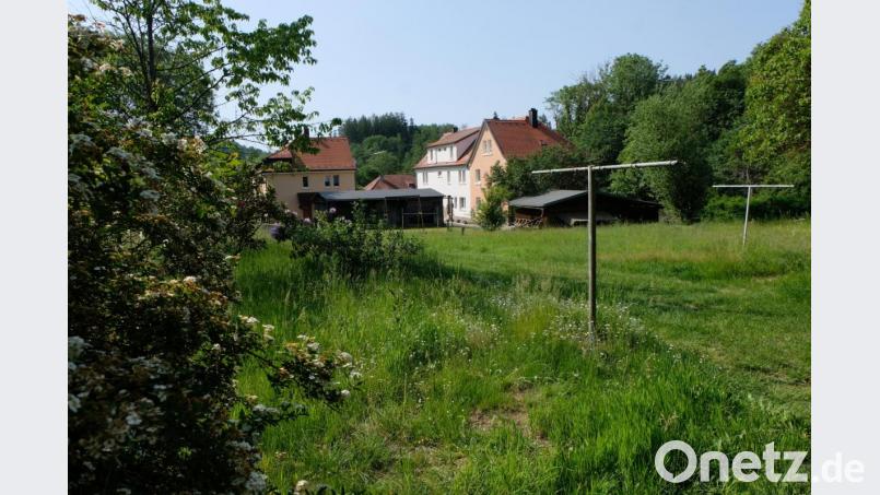 Auf diesem Gelände im Ortsteil Plankenhammer soll neue Wohnbebauung entstehen. Bild: le