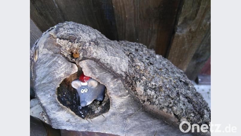 Nicht nur in Donhausers Garten kam man sich vor wie diese neugierige Maus. Bild: mma