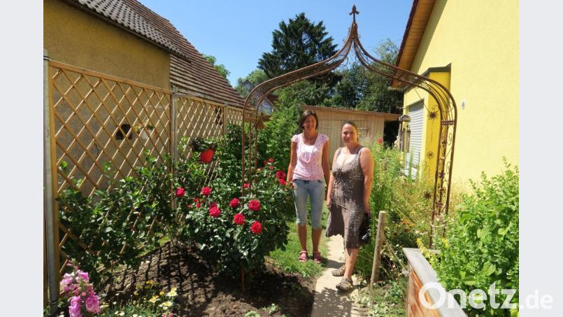 Das Tor öffnete auch der pensionierte Pfarrer Jörg Wienecke, und gewährte den Besuchern einen Blick in sein &quot;Paradies&quot;. Bild: Hirsch
