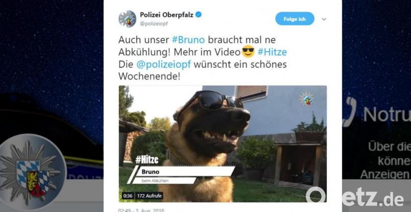 Frankas Nachfolger Bruno zeigt sich auf Twitter. Bild: screenshot: twitter.com/polizeiopf