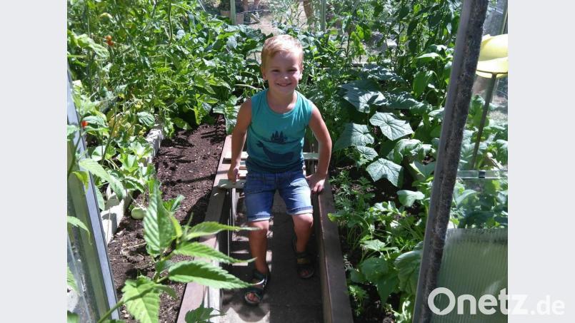 Ob er auch einmal ein Gärnter wird? Bild: mma