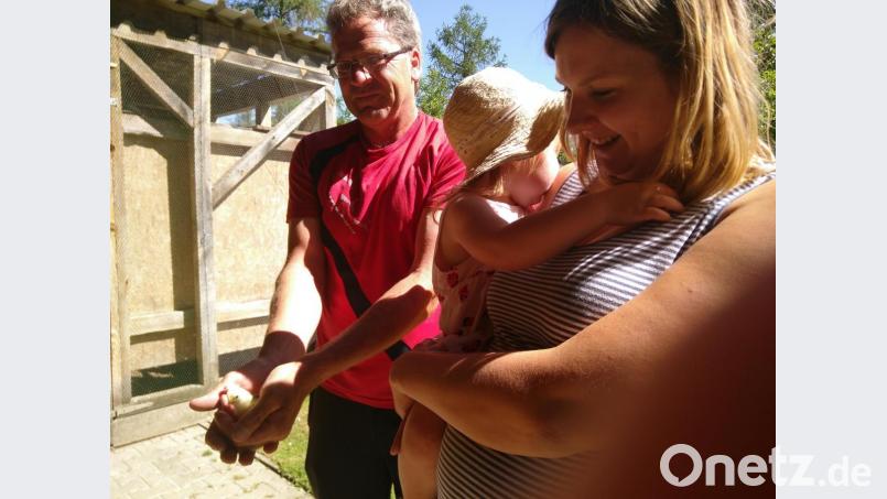 Viele Tiere gab es bei Familie Fischer am Zapflbach zu sehen - das begeisterte vor allem die Kinder. Bild: mma