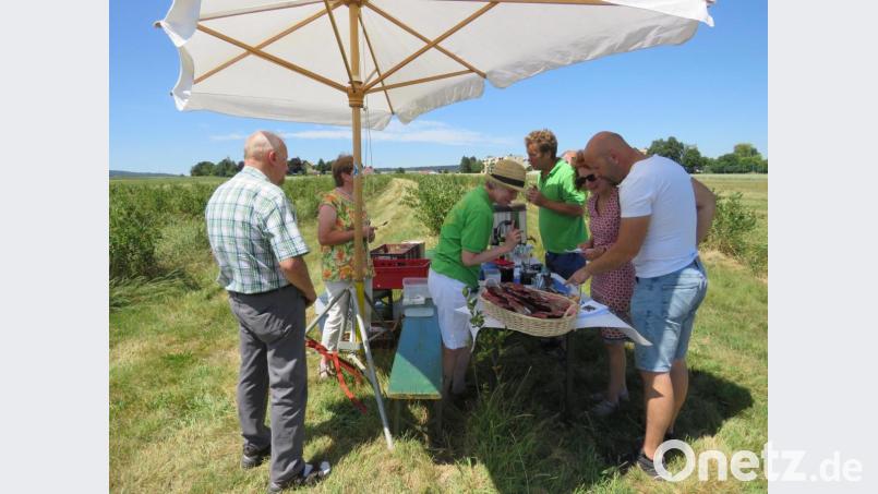 Auf der Aronia-Plantage war immer viel los. Die interessierten Gäste scheuten die Hitze nicht und Hedwig Jacoby (Mitte am Tisch li.) sowie ihr Mann Peter Jacobey (hinten re.) hatten viel zu tun mit Erklärungen über die Beweggründe für die Plantage. Bild: ubb