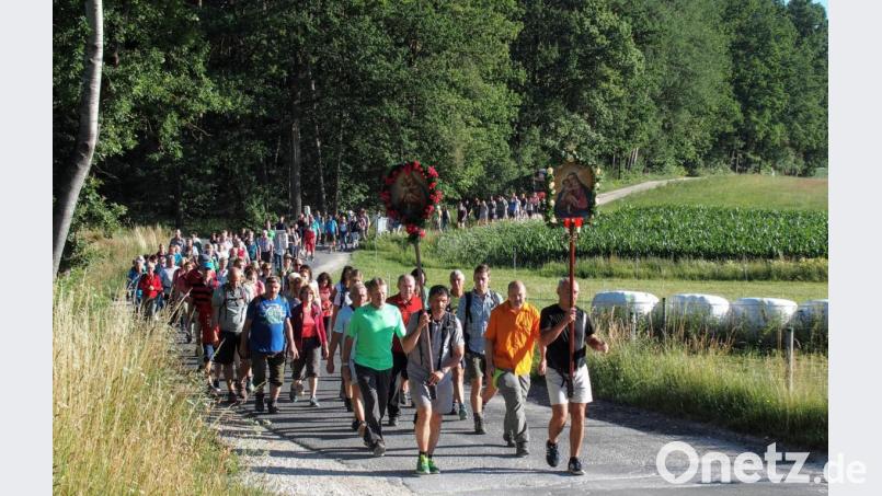 Die geschmückten Pilgertafeln der Gläubigen aus Hirschau und Ehenfeld führen den Pilgerzug auf den Mariahilfberg an. Bild: fdl