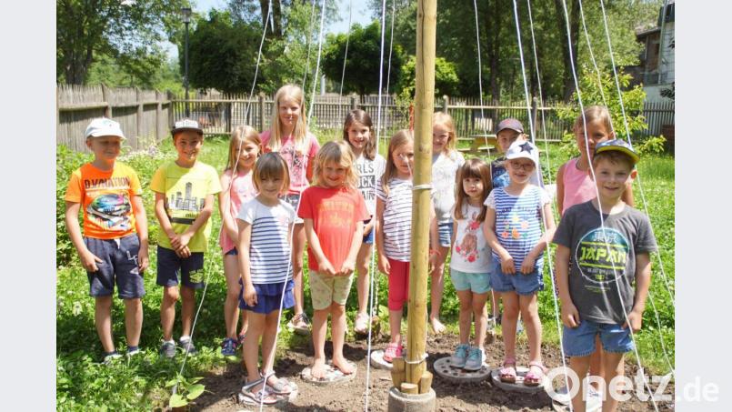 Um die selbst hergestellten Trittplatten stellten die Kinder in &quot;Justinas Garten&quot; ihr Bohnentipi auf. Bild: mmj
