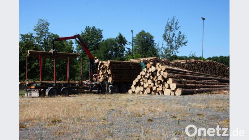 Der brachliegende Festplatz am Wiesauer Sportzentrum dient als Zwischenlager für größere Mengen Holz. Bild: wro