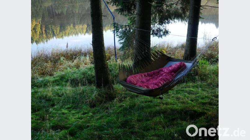 Es ist ein beeindruckendes Erlebnis, inmitten der Dunkelheit das Rauschen der Bäume zu hören und die Sterne über sich funkeln zu sehen. Bild:  lumen-digital – stock.adobe.com