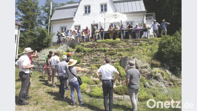 Ein Steingarten wie der von Werner Sollfrank und seiner Frau Christine am Fuße des Schlossbergs ist ein wichtiger Teil der Biodiversität. Die Teilnehmer aus den zehn Projektgemeinden konnten sich bei ihrer Exkursion hier überzeugen. Bild: es