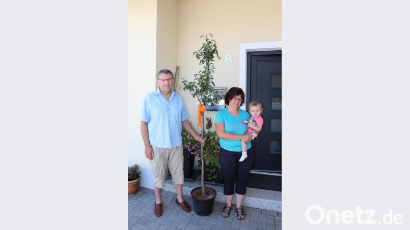Vorsitzender Josef Häckl übergibt einen Obstbaum an Christine Lober (von links). Für Mathilda haben sich die Eltern eine Blutbirne gewünschtt. Bild: rpp