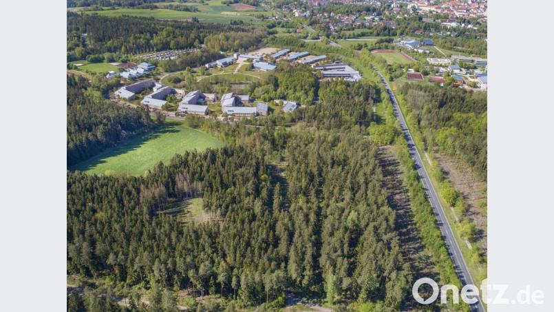 Auf diesen Waldflächen will die Bereitschaftspolizei einen Verkehrsübungsplatz bauen. Bild: Thilo Hierstetter