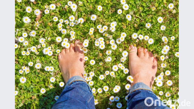 Das Laufen ohne Schuhe wirkt nicht nur wie eine Fußreflexzonenmassage, sondern fördert außerdem die Gesundheit. Bild: Jürgen Fälchle – stock.adobe.com