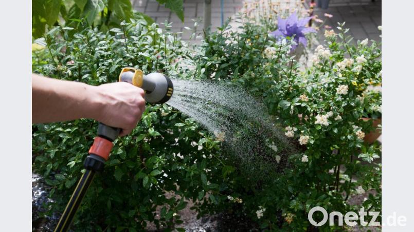 Wasser marsch sollte es ab sofort nicht mehr in den Gärten heißen. Zu kostbar ist das Trinkwasser in diesen heißen, trockenen Zeiten. Darauf weisen nun die ersten Gemeinden im Landkreis Neustadt hin. Symbolbild: Kai Remmers/dpa