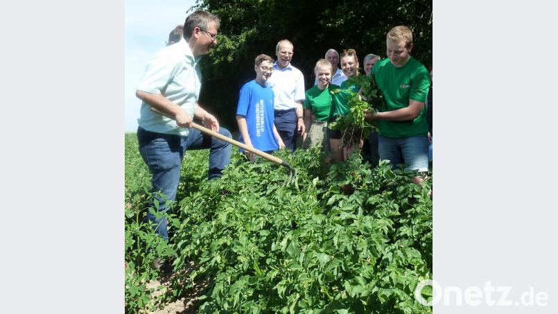 Nebenerwerbslandwirt Reinhard Elsner (links) und Gymnasiast Michael Kick (rechts) erklärten in Anwesenheit von OGO-Schulleiter Ludwig Pfeiffer (Dritter von links) und Mittelschul-Rektor Werner Winderl (Zweiter von rechts) das gemeinsame Projekt. Die Ernte wird im Herbst sein. Bild: Portner