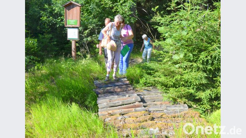 Nur quer durch den Wald, bergauf und bergab, über Stock und Stein, lässt sich die Stelle inmitten jenes Gebiets erreichen, das längst die Natur wieder zurückeroberte. Bild: fjo