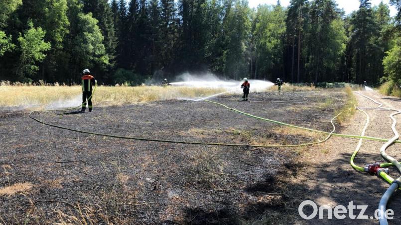 Die Feuerwehrler verhindern, dass der Flächenbrand auf den angrenzenden Wald übergreift Bild: exb