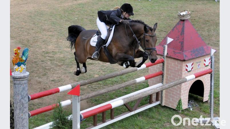Perfektes Zusammenspiel von Pferd und Reiter - eine Aufnahme vom Reit- und Springturnier aus dem vergangenen Jahr. Bild: Petra Hartl