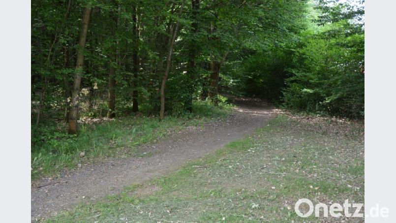 Für einen besseren Zugang zum neuen Dorfmittelpunkt auf dem SV-Gelände soll das Asphaltieren dieses rund 100 Meter langen Wegs sorgen. Bild: jr