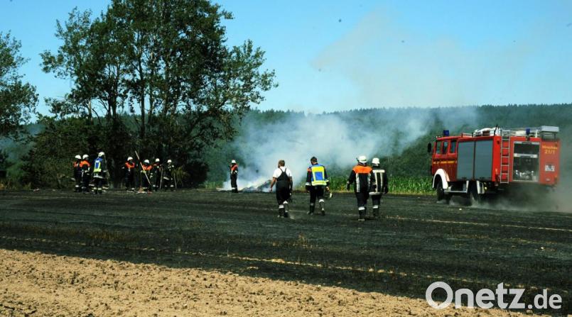 Die Feuerwehren Schnaittenbach, Hirschau, Kemnath, Holzhammer und Freudenberg-Wutschdorf waren auf dem Feld bei Schnaittenbach im Einsatz. Bild: gf