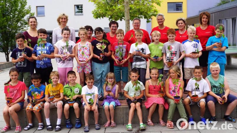 Stolz präsentierten die Schüler ihre Sonnenblumen, die sie gemeinsam mit dem Hospizteam (hinten, von rechts) gepflanzt hatten. Lehrerin Manuela Hellmuth und Rektorin Beate Vetterl (von links) waren von der Arbeit des Teams sehr angetan. Bild: weu