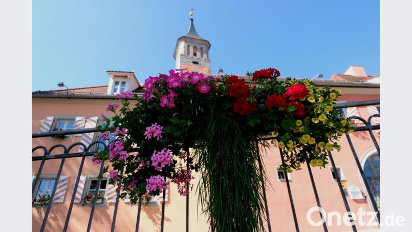 Es gibt viele positive Beispiele. Dazu zählen die Blumenkästen am Eisengeländer der Stützmauer in der Marktplatzanlage. Bild: le