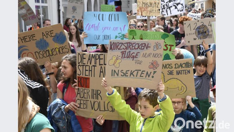 Demonstranten auf einer der &quot;Fridays for Future&quot;-Demos in Amberg. Bild: Petra Hartl