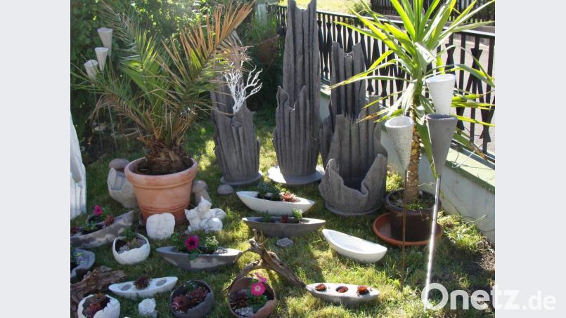 Im Garten von Fritz Möhwald ist bald kein Platz mehr. Bild: privat
