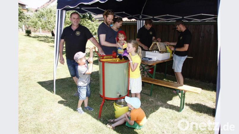 Frischen Honig schleudern und danach probieren: die Urlaubsgäste, die derzeit in Wiesau weilen, waren vom „Bienenhaustag“ sichtlich begeistert. Bild: wro