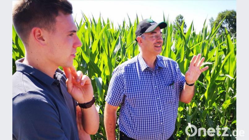 Mathias Dirmeier (links) und Josef Wittmann (rechts) demonstrierten am Beispiel eines Maisfeldes an der Schwandorfer Südosttangente, welchen Stellenwert der Einsatz von Pflanzenschutzmitteln beim Anbau von Nutzpflanzen hat. Bild: Thomas Dobler