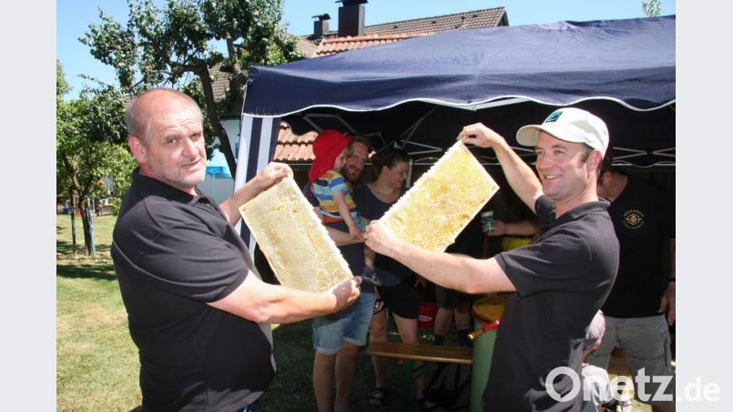 "Tag des offenen Bienenhauses" am Wiesauer Kreuzberg. Bild: wro