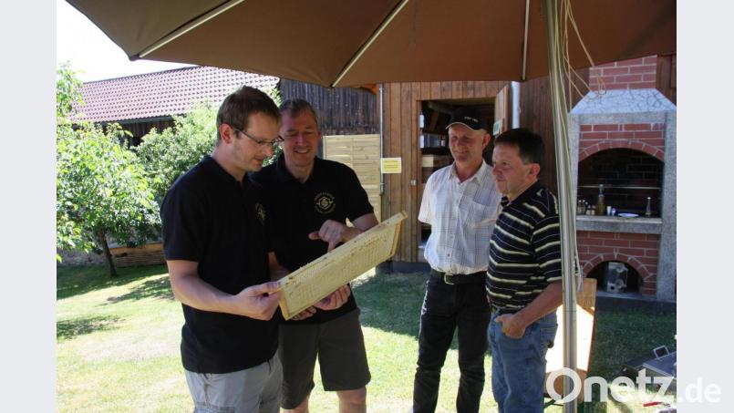 "Tag des offenen Bienenhauses" am Wiesauer Kreuzberg. Bild: wro