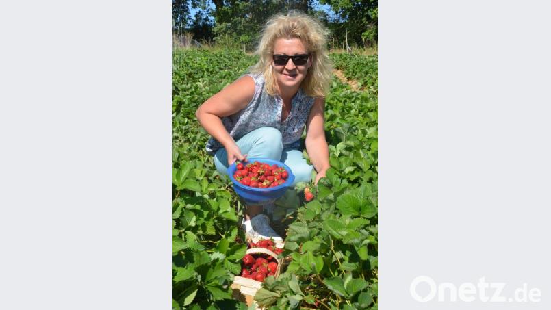 Gabi Müller aus Waldeck sammelt Erdbeeren für eine leckere, selbst gemachte Marmelade. Bild: wb