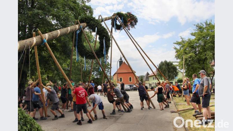 Viel Kraft ist erforderlich, um mit den Schwalben den 30 Meter langen Baum in die Senkrechte zu hieven. Bild: ds