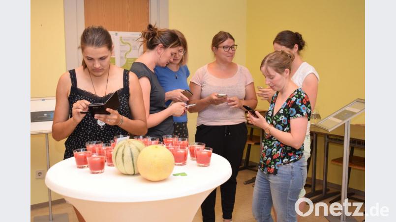 Das Smartphone ist zum täglichen Begleiter geworden. Es unterstützt bei der Suche nach ausgewogener Ernährung und mehr Bewegung im Tagesablauf Bild: bnr