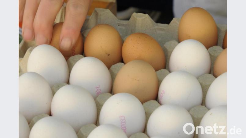 Sonnendorfer ruft Eier zurück. Symbolbild: Petra Hartl