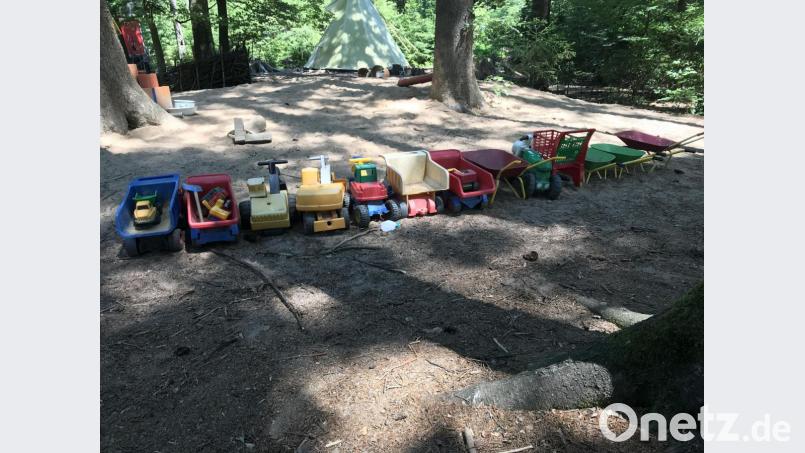 So lassen die Eulen und Füchse ihre Spielplätze im Wald zurück. Bild: eig
