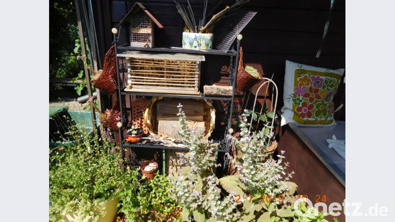 Der Garten von Zenta Meiler. Bild: Jürgen Bisani/exb