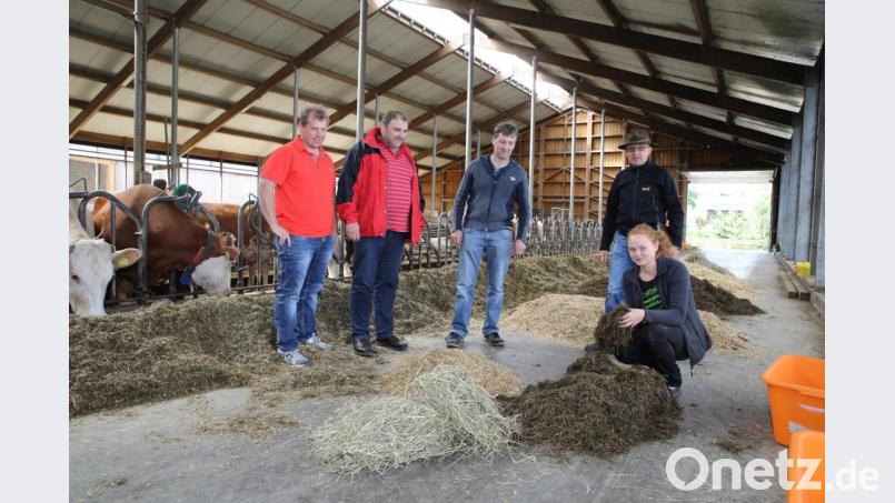 Die angehende Landwirtin Ingrid Janner (rechts) bei der Beurteilung der Futtermittel. Mit auf dem Bild (von links) die Prüfer Martin Fütterer, Richard Kellner und Simon Zeitler sowie Bildungsberater Johannes Völkl. Bild: njn