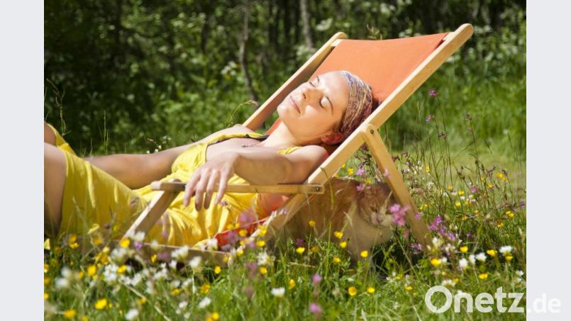 Auch zu Hause steht ein Liegestuhl im grünen Garten. Bild: Bild: Almgren – stock.adobe.com