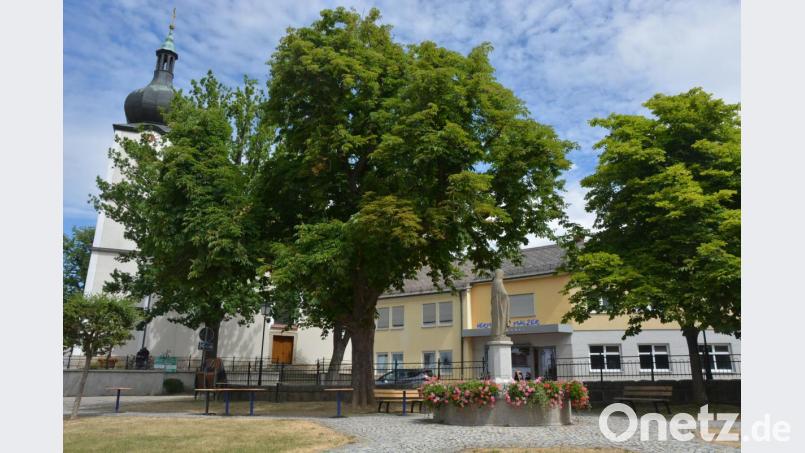 Prächtig gedeiht die von Baumsachverständigen Edgar Wenisch in aufwendiger Weise revitalisierte Rosskastanie (Mitte) am Therese-Neumann-Platz. Dankesworte gab es dafür im Marktgemeinderat. Bild: jr
