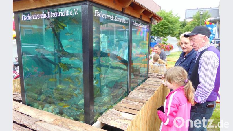 Das Leben unter Wasser beobachten. Vor dem Schauaquarium war das möglich. Bild: fsb
