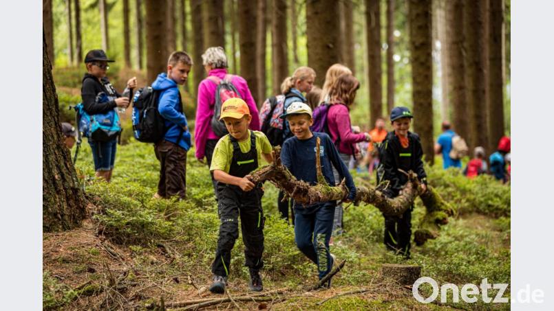Natur zum Anfassen und Austoben: Schüler aus Fichtelberg und Mehlmeisel gestalten ihr „Grünes Klassenzimmer“ im Staatswald. Bild: exb