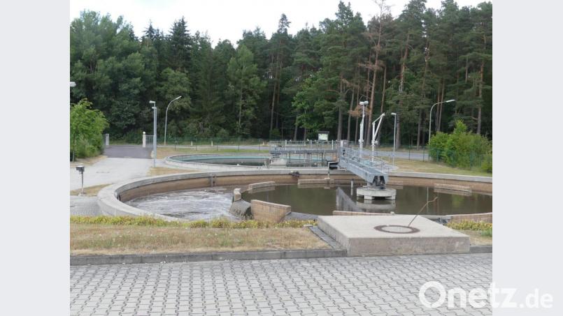 Bei einem eventuellen Erweiterungsbedarf soll das angrenzende Waldgebiet weitere Klärbecken aufnehmen. Bild: rn