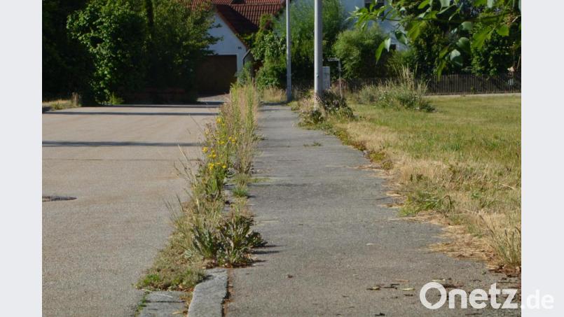 Die Grundstücksbesitzer sollten mehr auf die Sauberkeit der Fahrbahnränder achten. Bild: dob