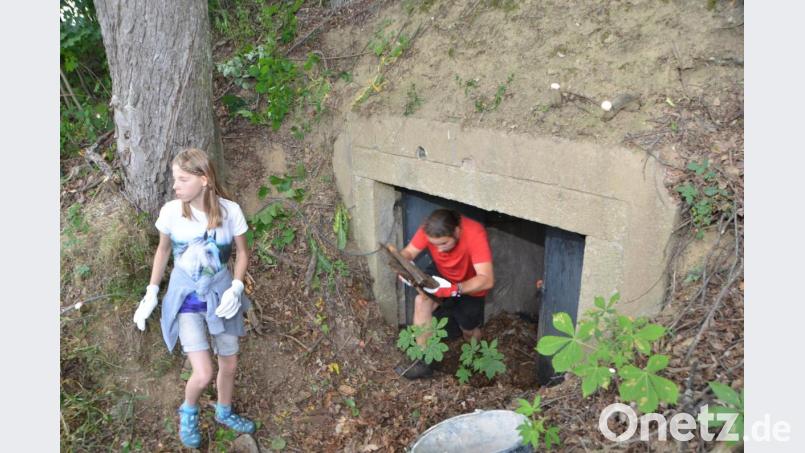 Die Jugendlichen hatten ihre Freude an der Arbeit. Immerhin dürfen jetzt Fledermäuse in die Kellerräume einziehen. Das kommt bei den Mädchen und Jungs an. Bild: dob